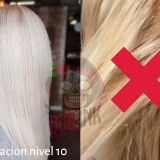 Tinte arcticfox hair color