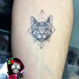 Tatuaje temporal geometric cat