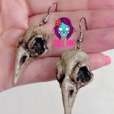 Aretes bird skull