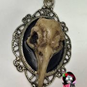 Collar camafeo bird skull