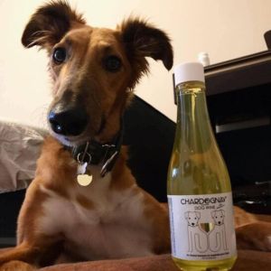 Vino para perros