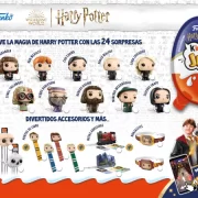 Kinder joy harry potter